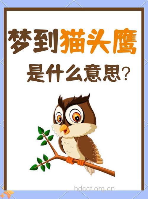 周公解梦之梦见老鹰预示着什么