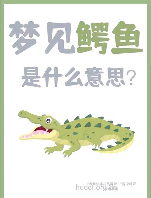 周公解梦之梦见鳄鱼预示着什么