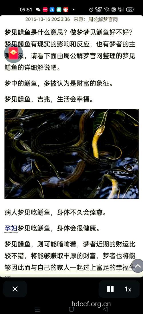 周公解梦之梦见黄鳝预示着什么