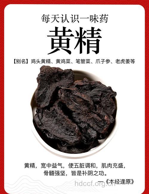 对无精症有效的中药补品