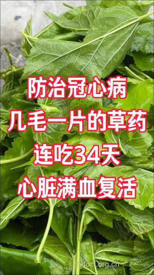 有哪些中药可以治疗冠心病