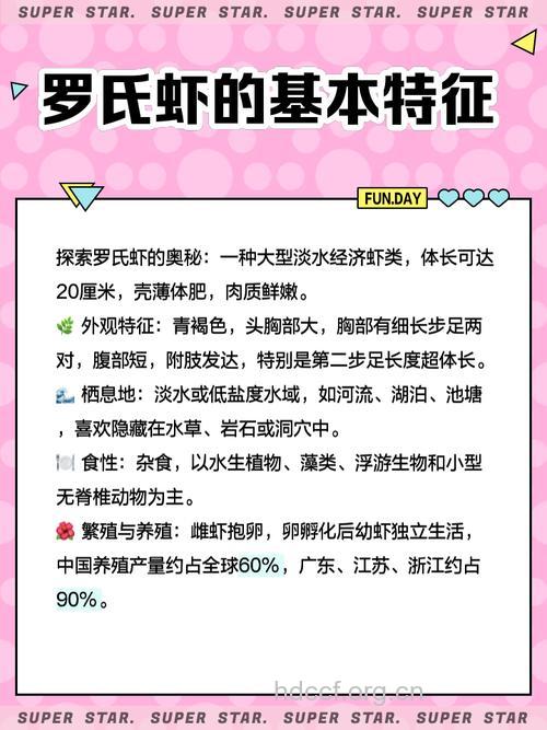 周公解梦之梦见虾预示着什么