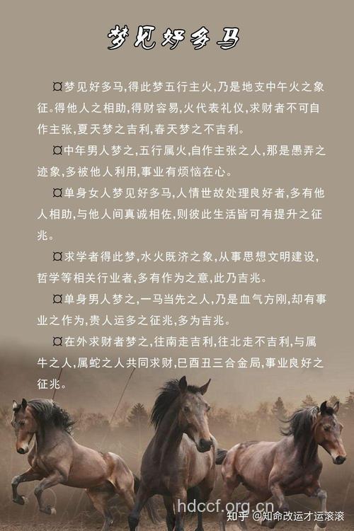 梦见马|梦见马匹预示着什么