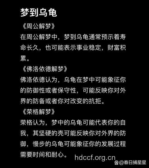 周公解梦之梦见乌龟预示着什么