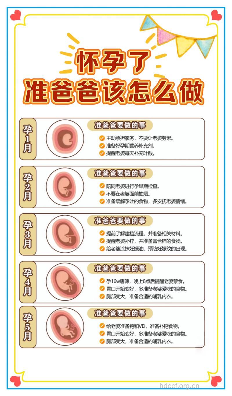 准爸爸学习手册