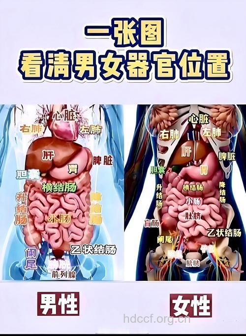 女人最爱男人身体的八大部位