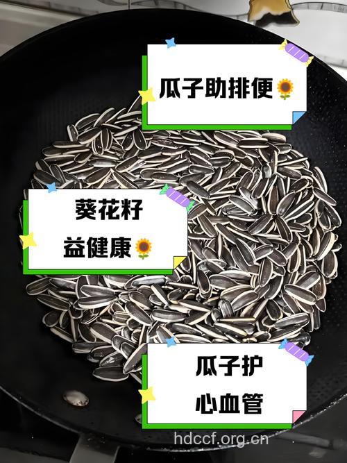 常吃瓜子让精子活力上升