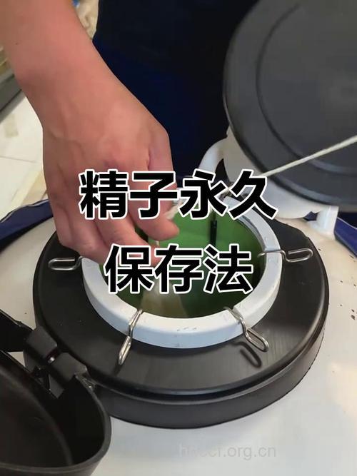 日本开发出精子冻结干燥保存法