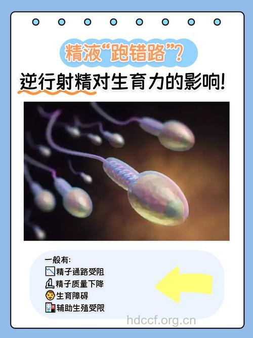精子对妊娠有哪些影响