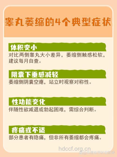 男性导致睾丸萎缩的因素