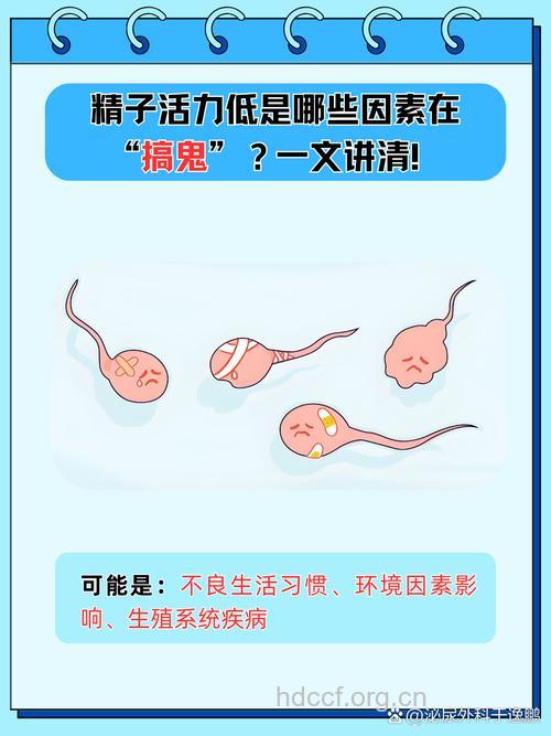 哪些因素会让男人的精子质量下降