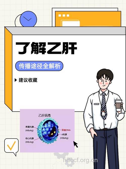 精子与乙肝病毒的传播有哪些关系