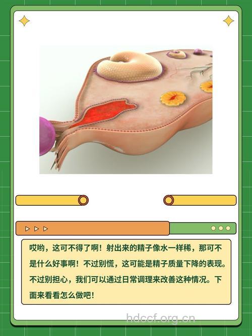 男人的精液质量为什么会下降