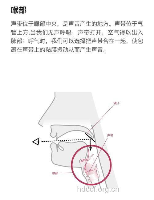 男人青春期保护声带的十个方法