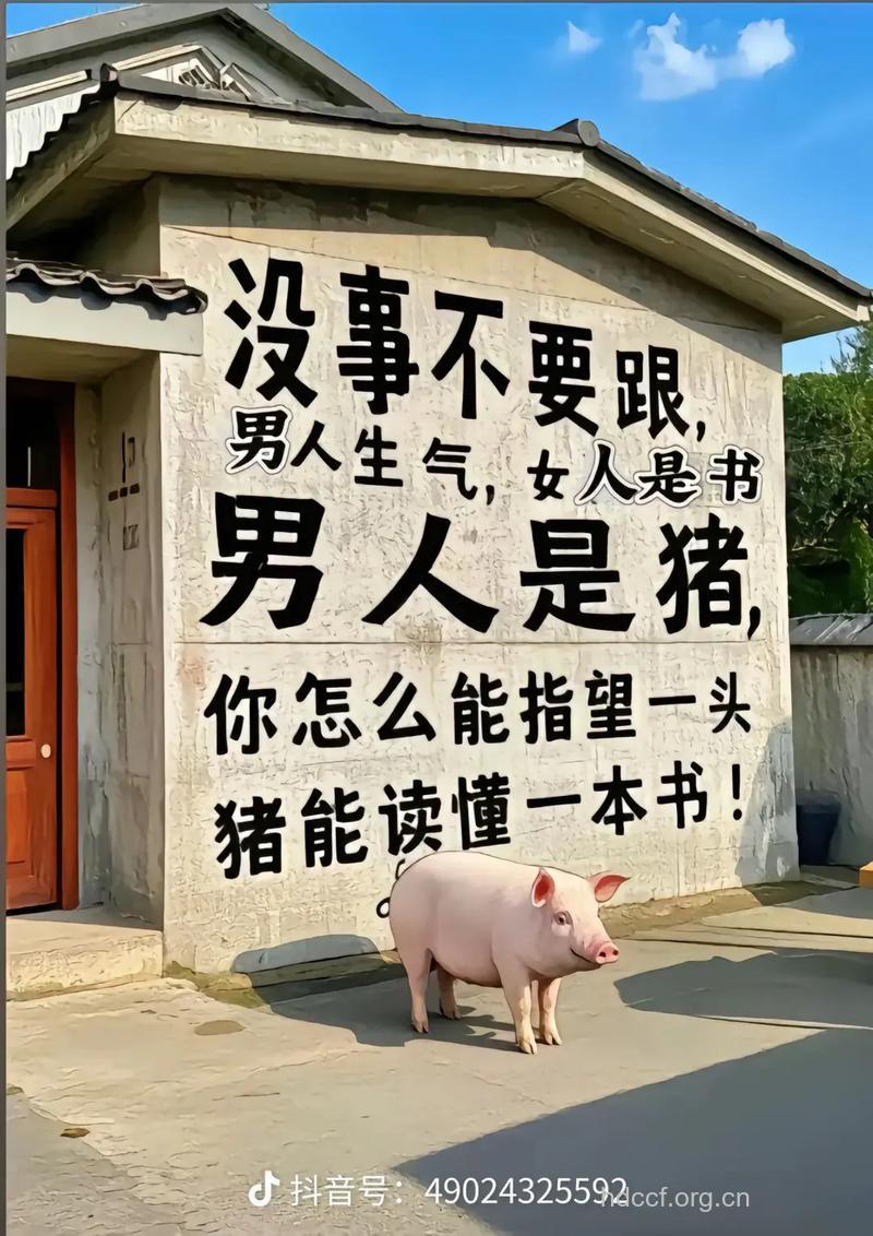 男人与猪的哲学