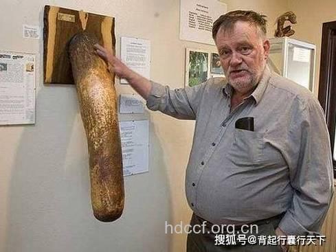 男性生殖器衰老的4个表现