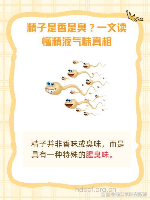 精液的气味成因与功能
