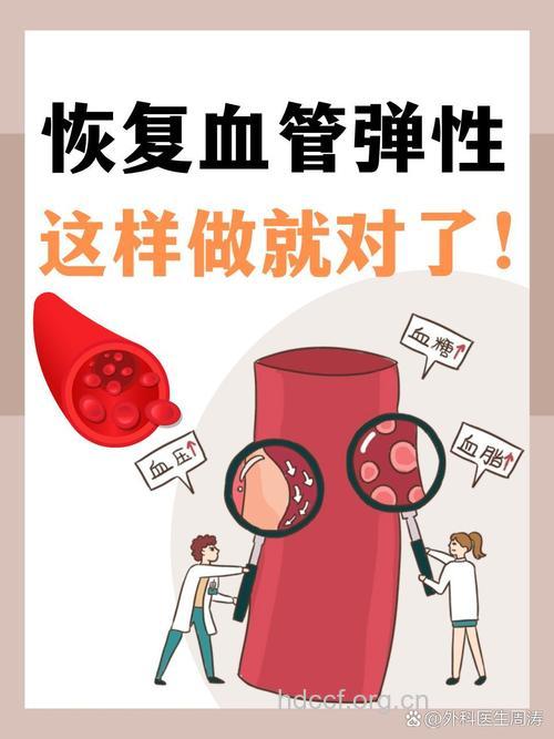 如何把血管从硬化转为弹性呢
