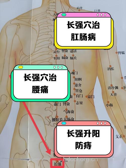 七个提升男性性能力的穴位