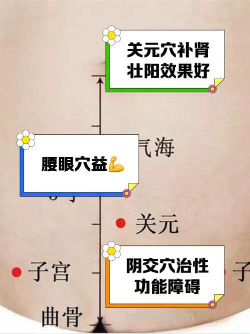 常按这些穴位 能增强男人性能力