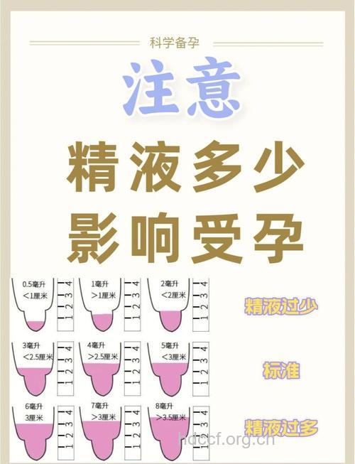 如何增加精子数量？