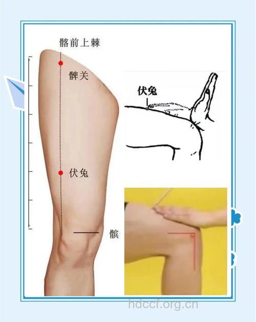 男人常按这些穴位能快速瘦腿