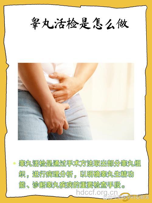 睾丸活检是男性不育重要检测方法