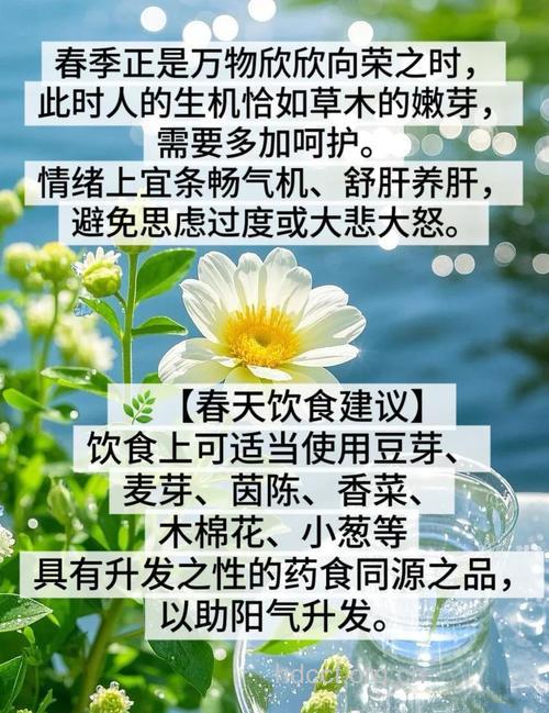 春困吃什么最解困