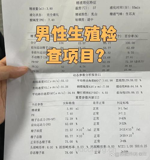 男性不育要检查哪些项目