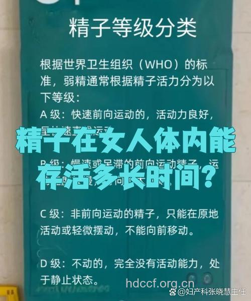 精子能在女人体内活多久