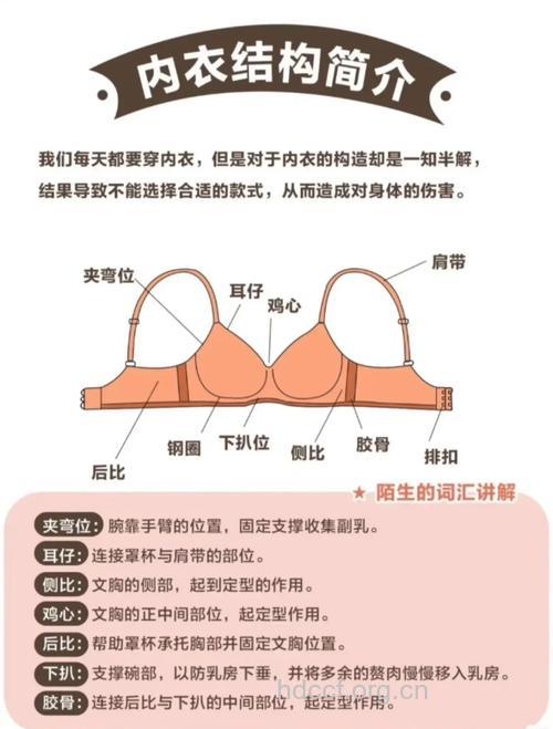 内衣质地与男性生育关系