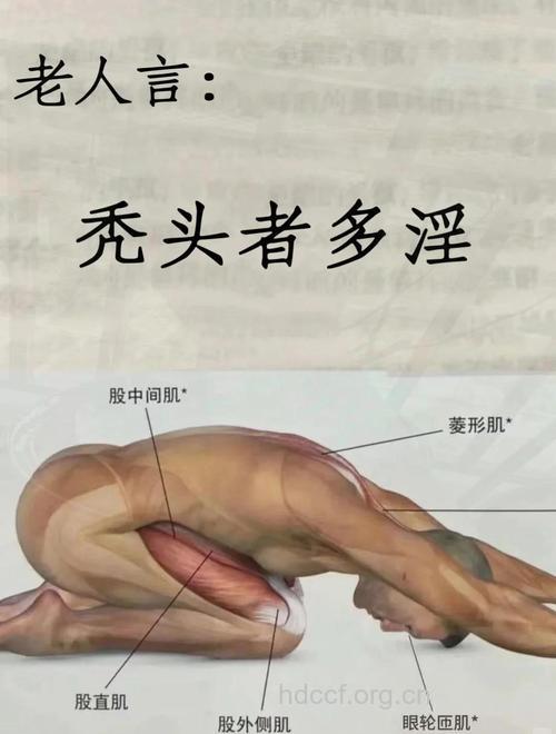 男人不脱发的10个好方法