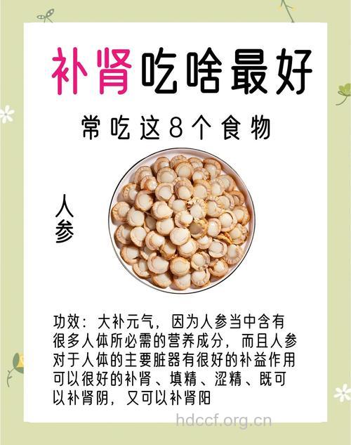 经常遗精吃什么好