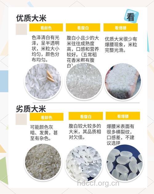如何正确挑选大米