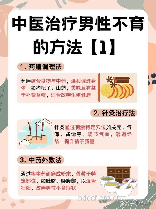 男性不育的中医治疗方