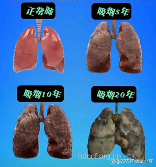 抽烟对身体的危害有哪些