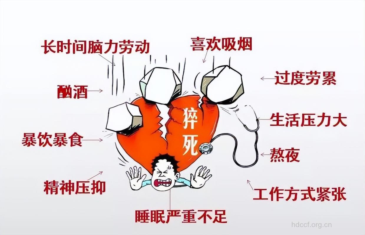 哪些男人容易过劳死或猝死