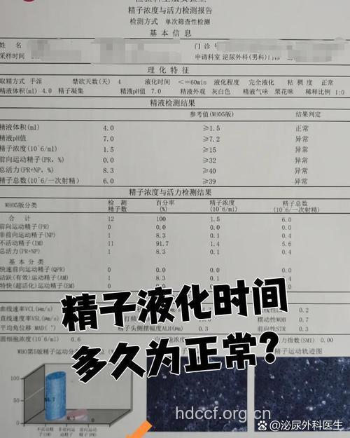 精子什么时候活力最强