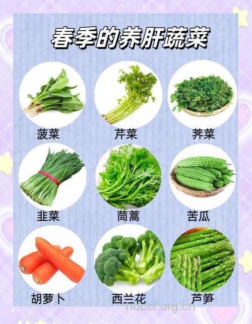 春季养肝 这个蔬菜是男人养肝法宝