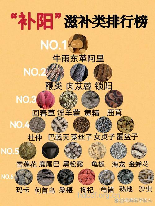 男性需要什么样的补品