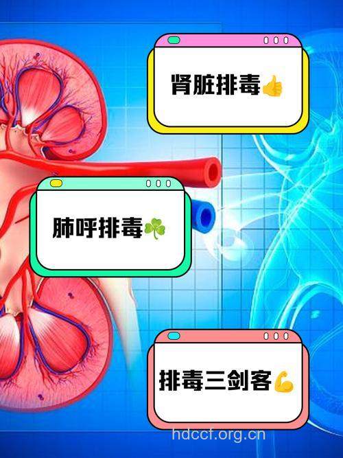 如何排毒 男人吃它轻松排出体内毒素