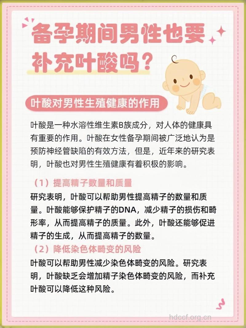 男性有没有必要补充叶酸