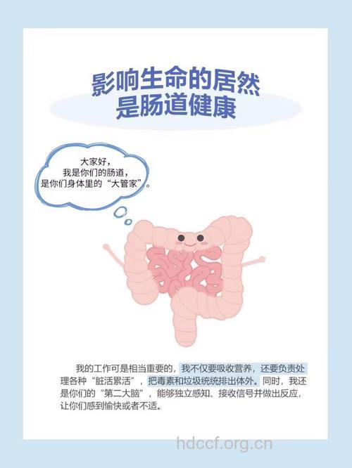 男人损伤肠胃的行为习惯