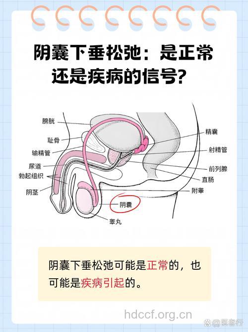 男性私处衰老的表现有哪些