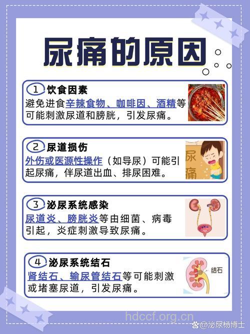 男性健康 男人尿痛是由什么引起