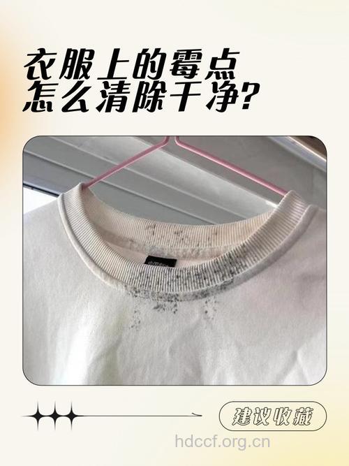 天气潮湿衣服有霉味怎么办