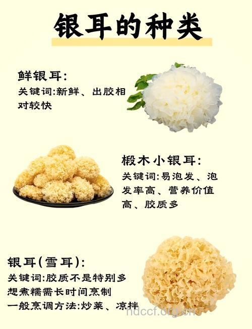 银耳怎么挑选