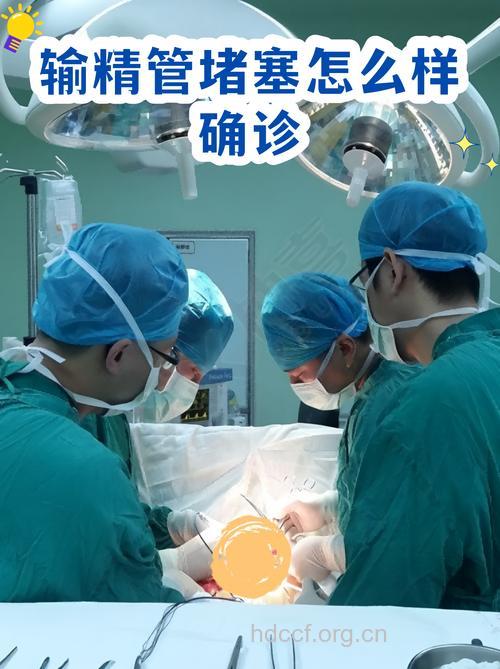 输精管堵塞的诊断和检查