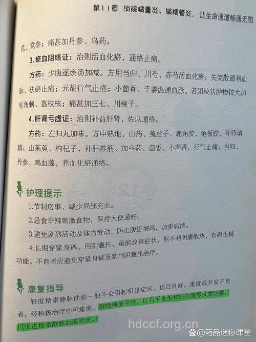 精索静脉曲张的食疗方