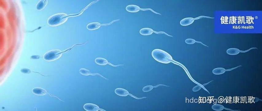 男性精子遭遇五大杀手